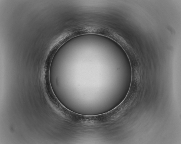 X0000115740730200911121537