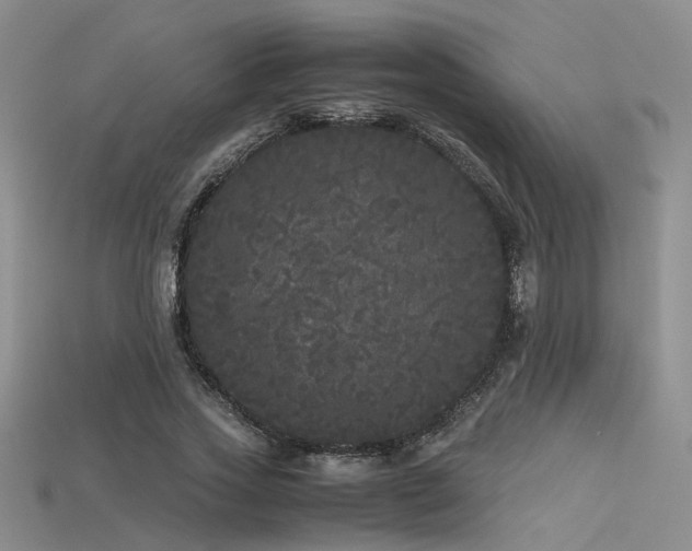 X0000115740733200911121537