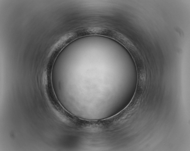 X0000115740734200911121537