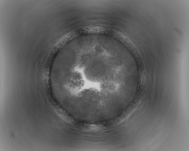 X0000115740737200911121537