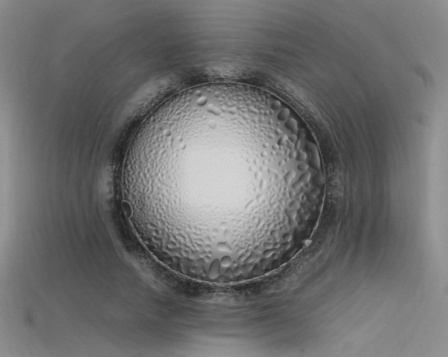X0000115740738200911121537