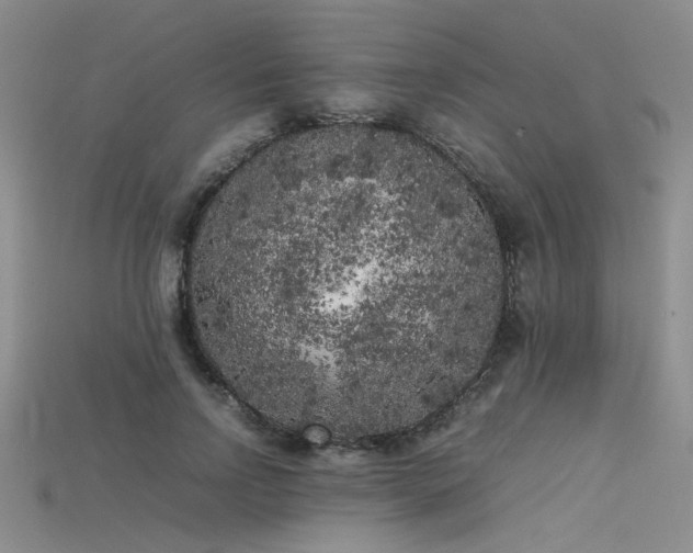 X0000115740742200911121537