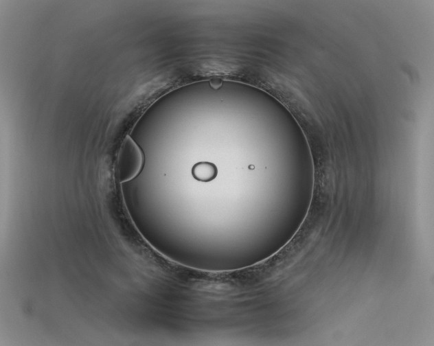 X0000115740743200911121537