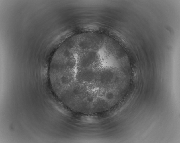 X0000115740745200911121537