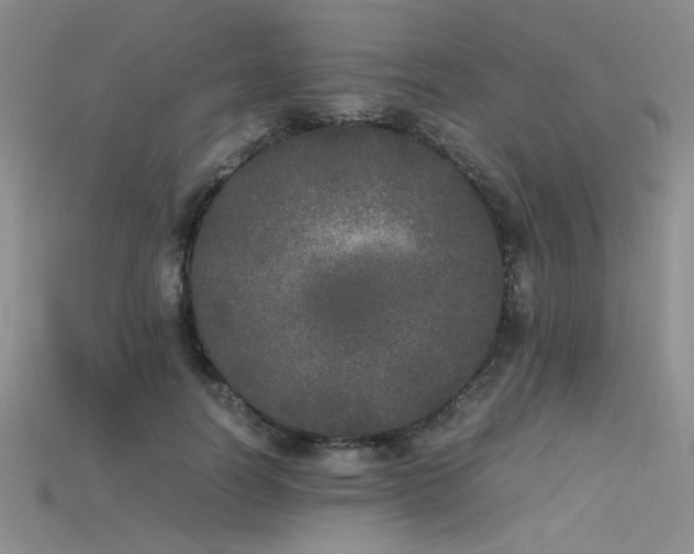 X0000115740746200911121537
