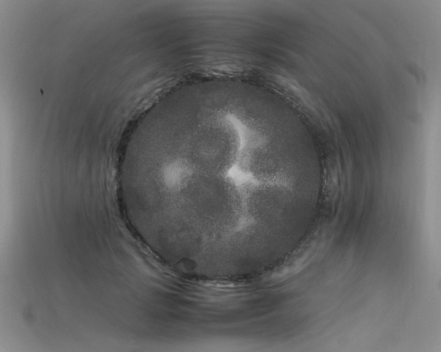 X0000115740749200911121537
