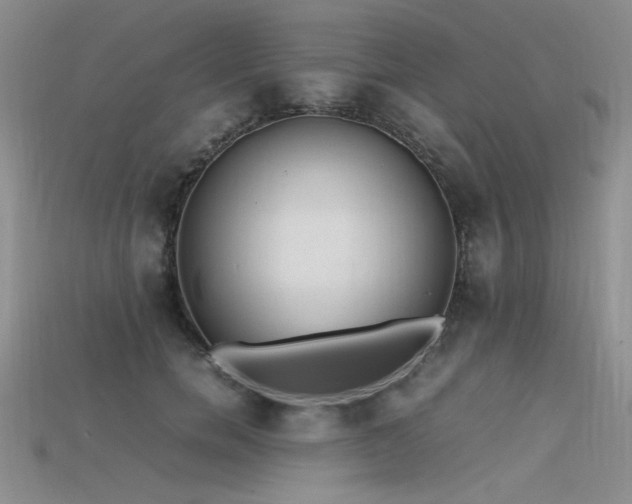 X0000115740750200911121537