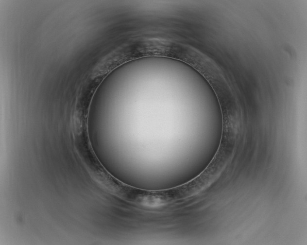 X0000115740751200911121537
