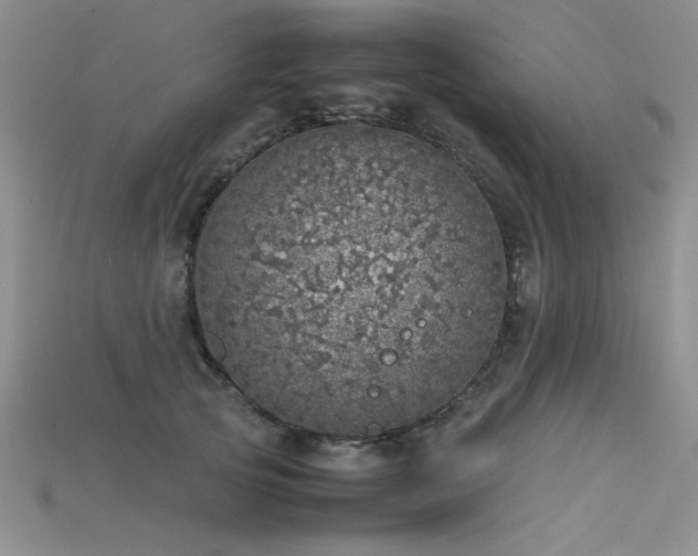 X0000115740753200911121537