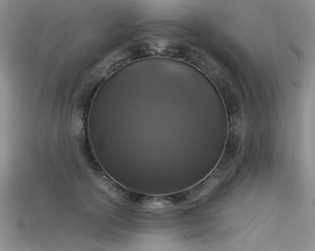 X0000115740754200911121537