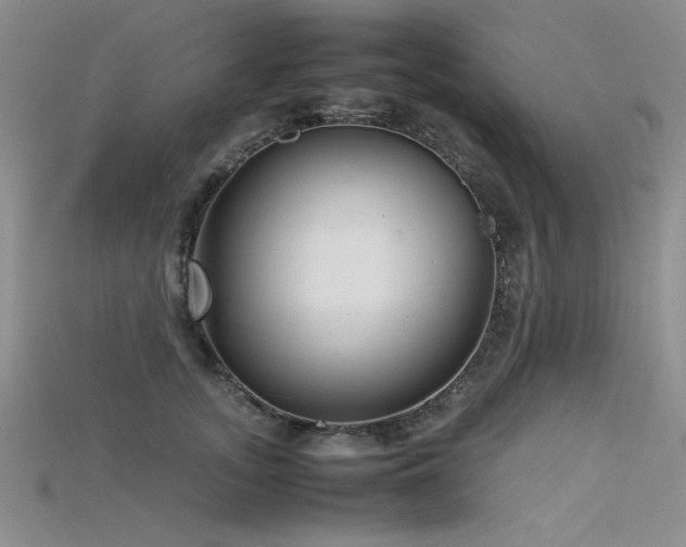 X0000115740755200911121537
