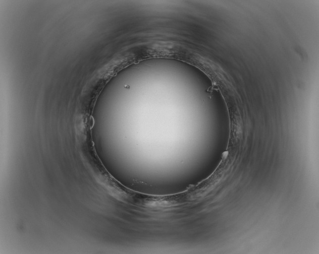X0000115740759200911121537