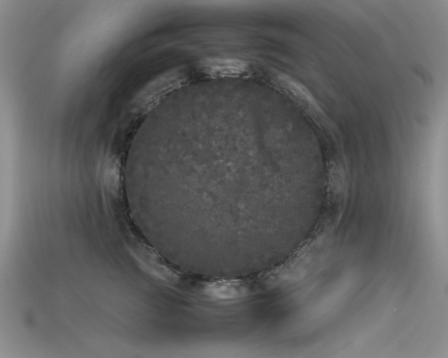 X0000115740761200911121537