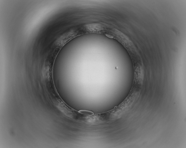 X0000115740762200911121537