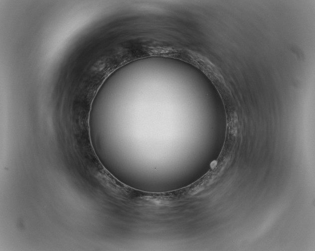 X0000115740763200911121537
