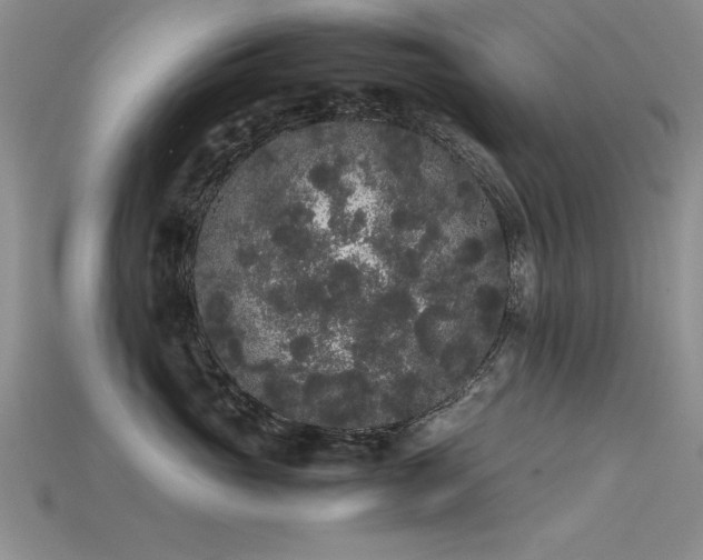 X0000115740765200911121537