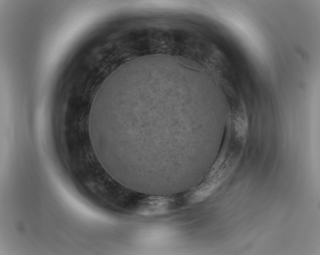 X0000115740766200911121537