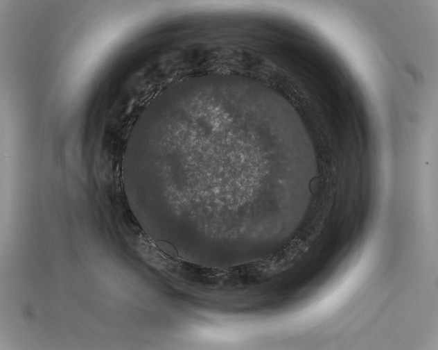 X0000115740767200911121537
