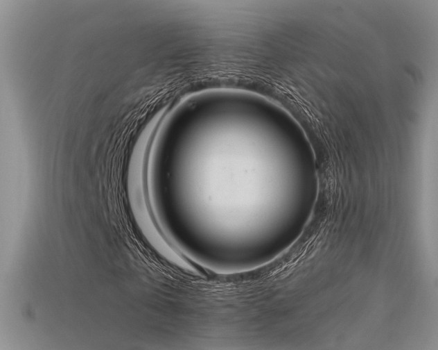 X0000115740769200911121537