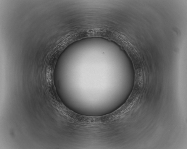 X0000115740770200911121537