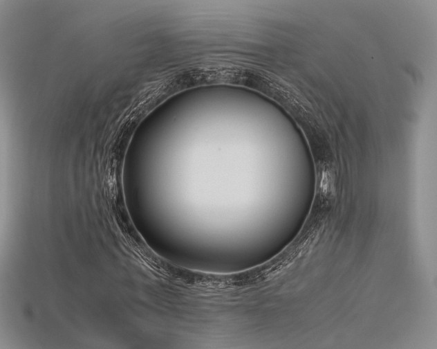 X0000115740771200911121536