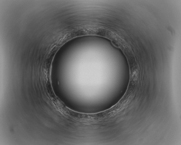X0000115740772200911121536