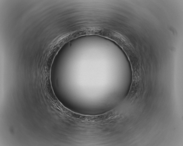 X0000115740773200911121536
