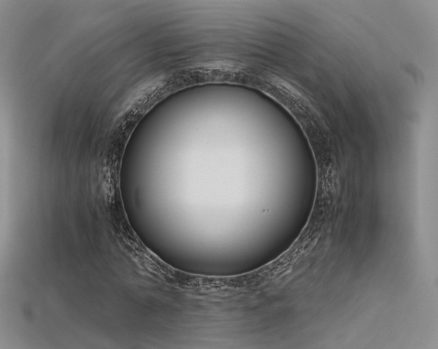 X0000115740774200911121536