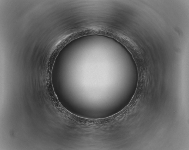 X0000115740776200911121536