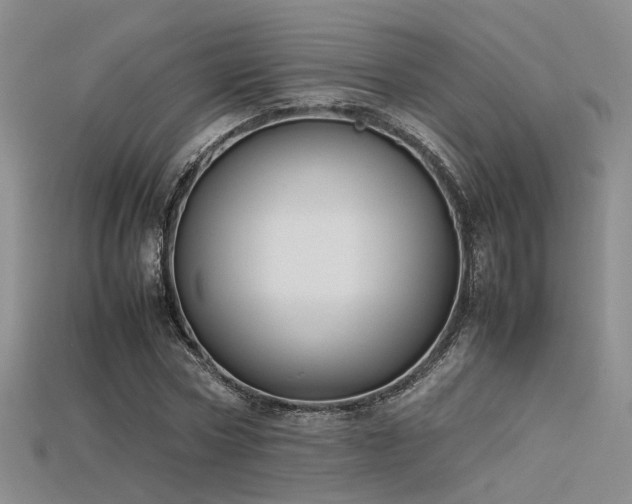 X0000115740778200911121536