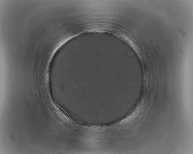 X0000115740779200911121536