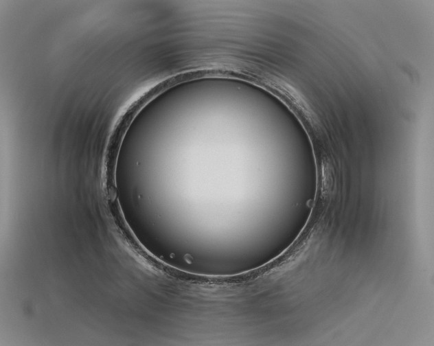 X0000115740780200911121536