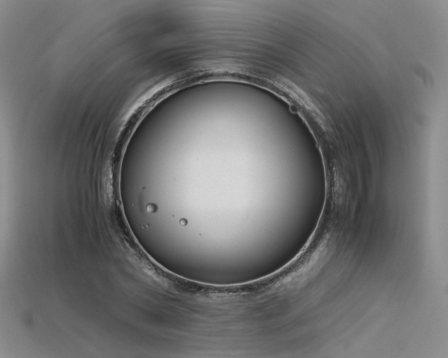 X0000115740782200911121536