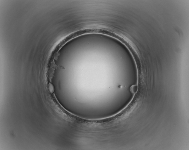 X0000115740783200911121536