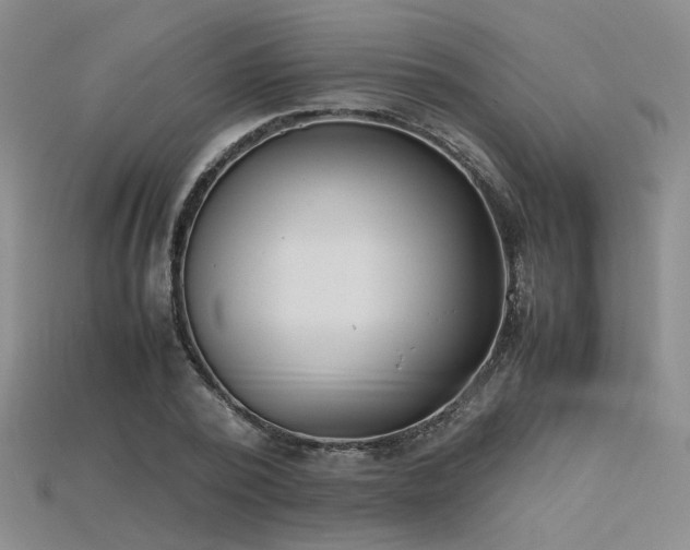 X0000115740784200911121536