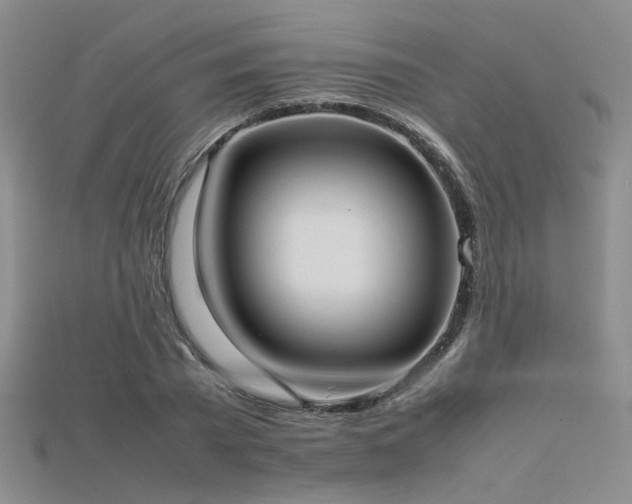 X0000115740785200911121536