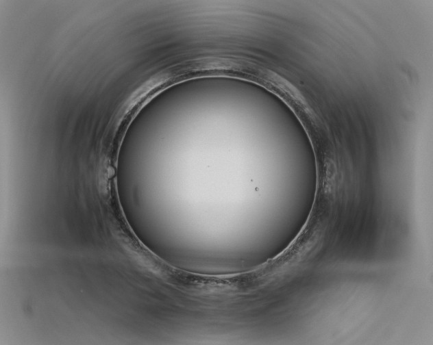 X0000115740786200911121536