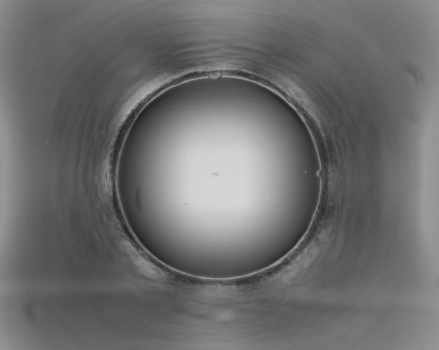 X0000115740789200911121536