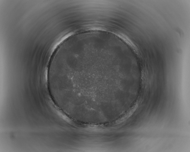 X0000115740790200911121536