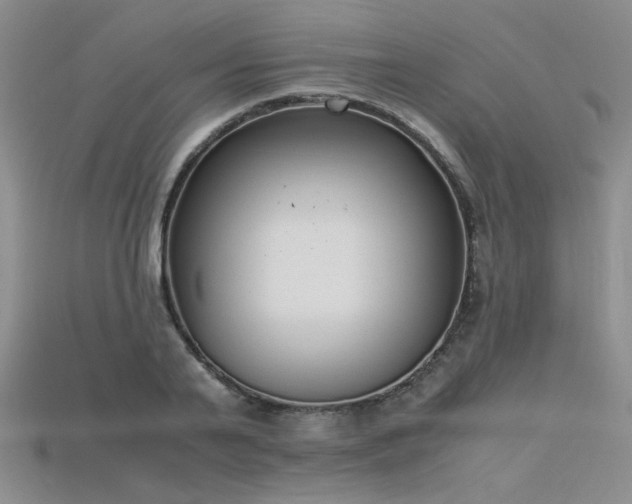 X0000115740791200911121536