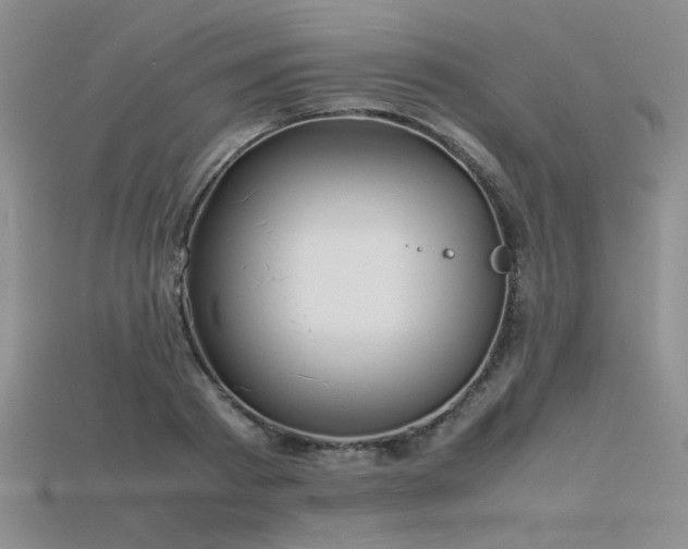 X0000115740793200911121536
