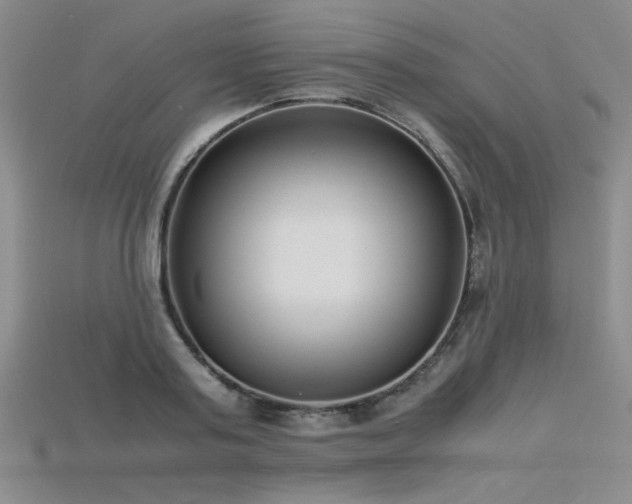 X0000115740795200911121536