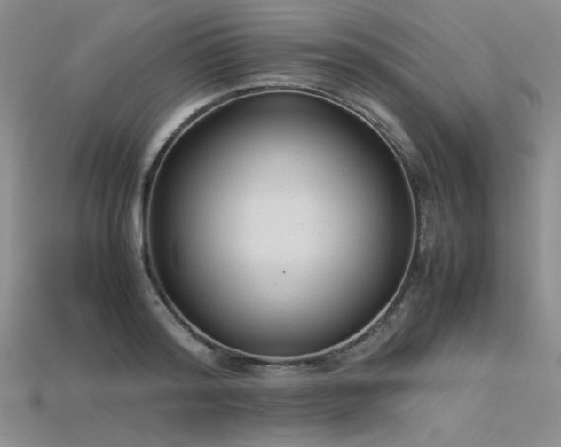 X0000115740796200911121536