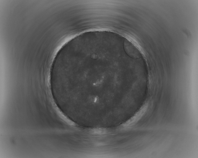 X0000115740797200911121536