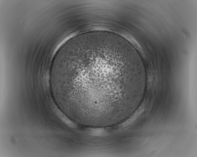 X0000115740798200911121536