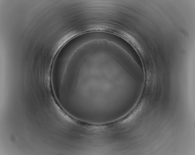 X0000115740802200911121536