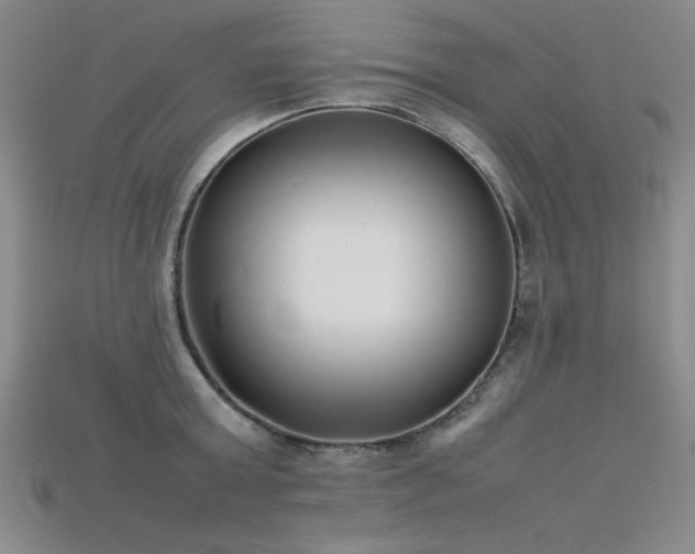X0000115740803200911121536