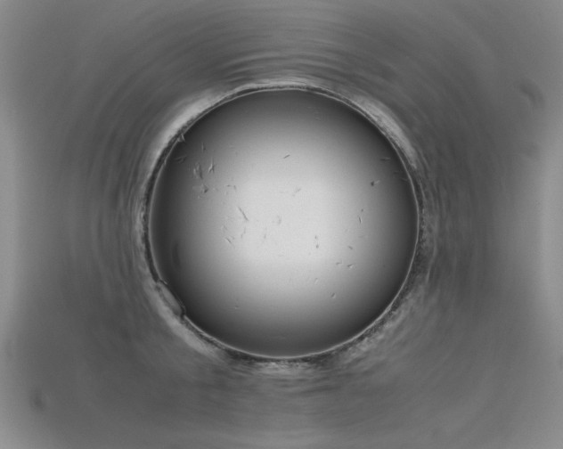 X0000115740805200911121536