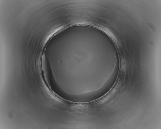 X0000115740806200911121536