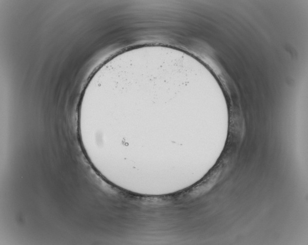 X0000115740807200911121536